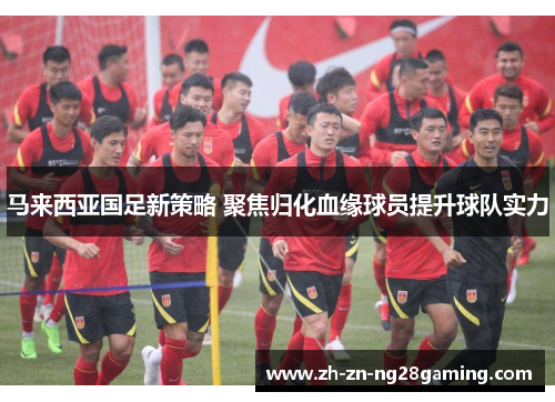 马来西亚国足新策略 聚焦归化血缘球员提升球队实力