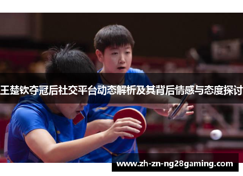 王楚钦夺冠后社交平台动态解析及其背后情感与态度探讨