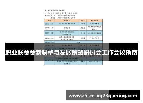 职业联赛赛制调整与发展策略研讨会工作会议指南