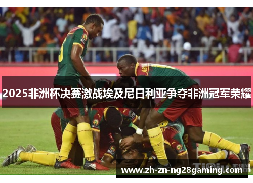 2025非洲杯决赛激战埃及尼日利亚争夺非洲冠军荣耀